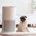 Discovering Best HVAC Air Filters for Home With Pets