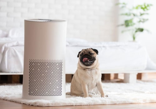 Discovering Best HVAC Air Filters for Home With Pets